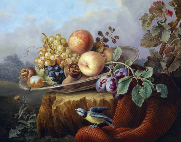 Натюрморт с фруктами и птицей / Карл Грубер - Carl Gruber