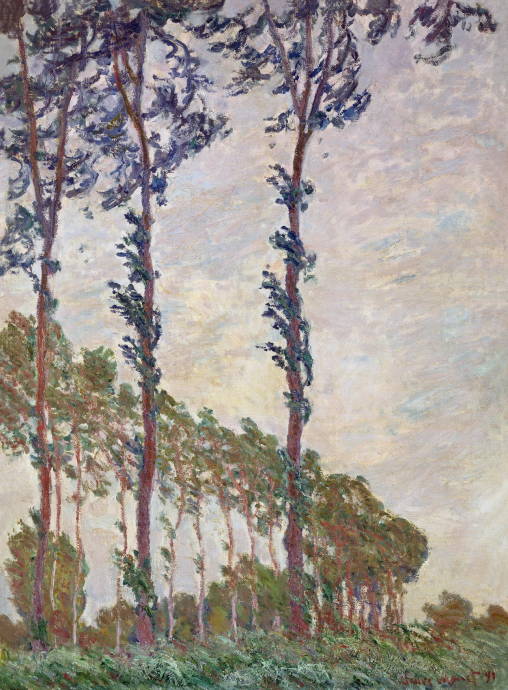 Тополя на ветру / Клод Оскар Моне - Claude Oscar Monet