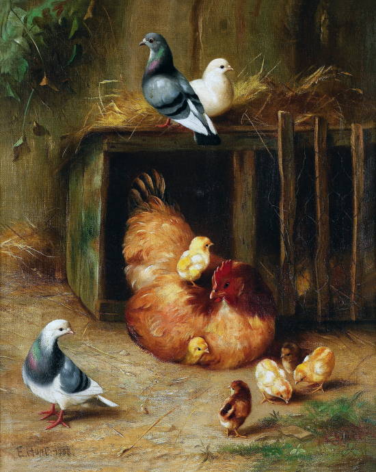 Курица и голуби. 1906 г. / Эдгар Хант - Edgar Hunt