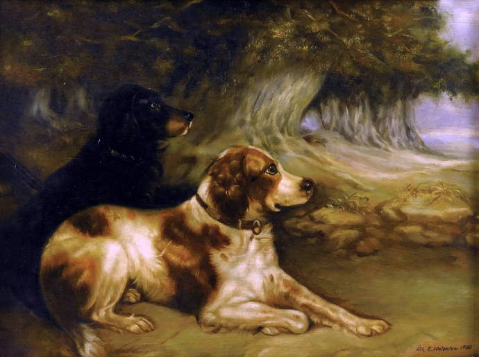 Внимательные собаки. 1900 г. / Эрнест Альберт Ватерлоо - 