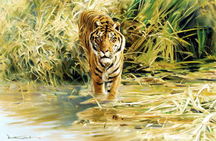 Тигр в траве / Дональд Грант - Donald Grant