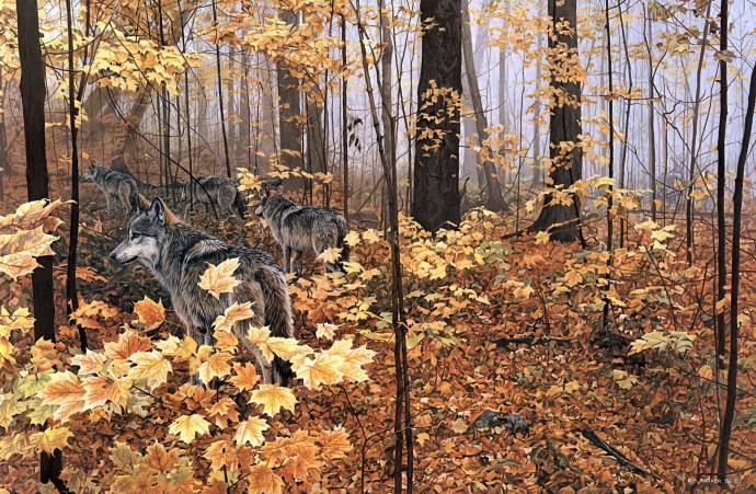 Осень в кленовом лесу / Рон Паркер - Ron S