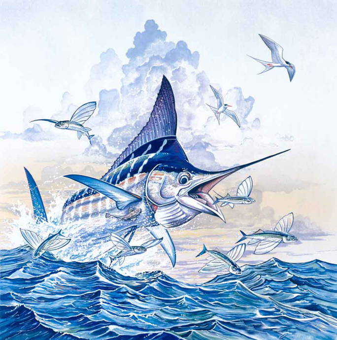 Марлин с летучими рыбами / Чак Байрон - Chuck Byron