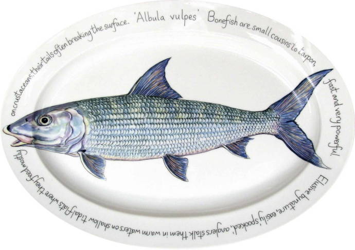 Альбула с овальной надписью / Изображения из категории "Рыбы"