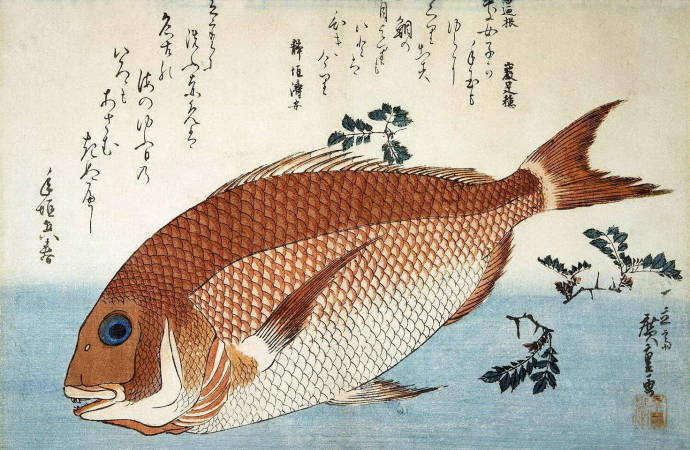 Японские мотивы. Красный морской лещ / Изображения из категории "Рыбы"
